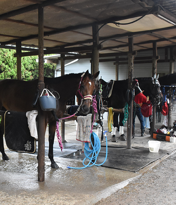 riding club careca for member