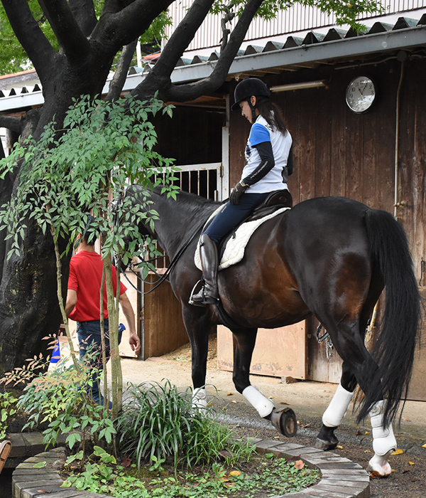 riding club careca for visitor