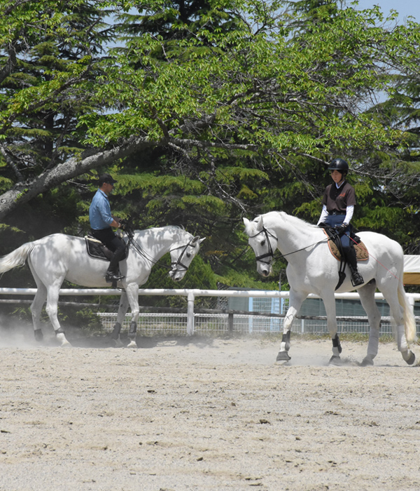 riding club careca for visitor