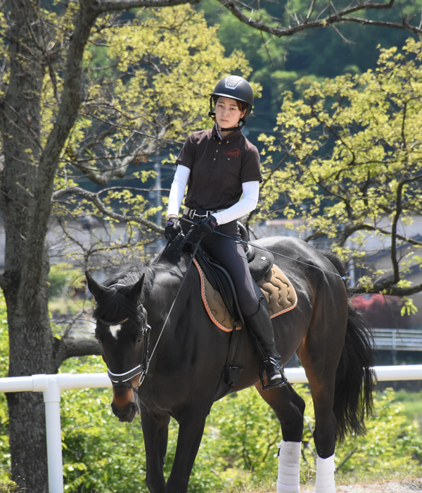 riding club careca for visitor